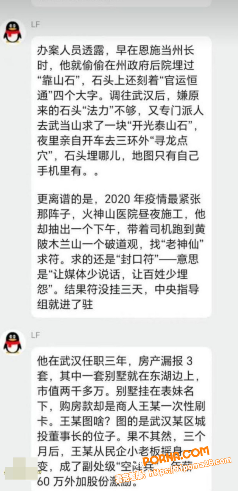 武汉前市长 周先旺 巨额...（7）