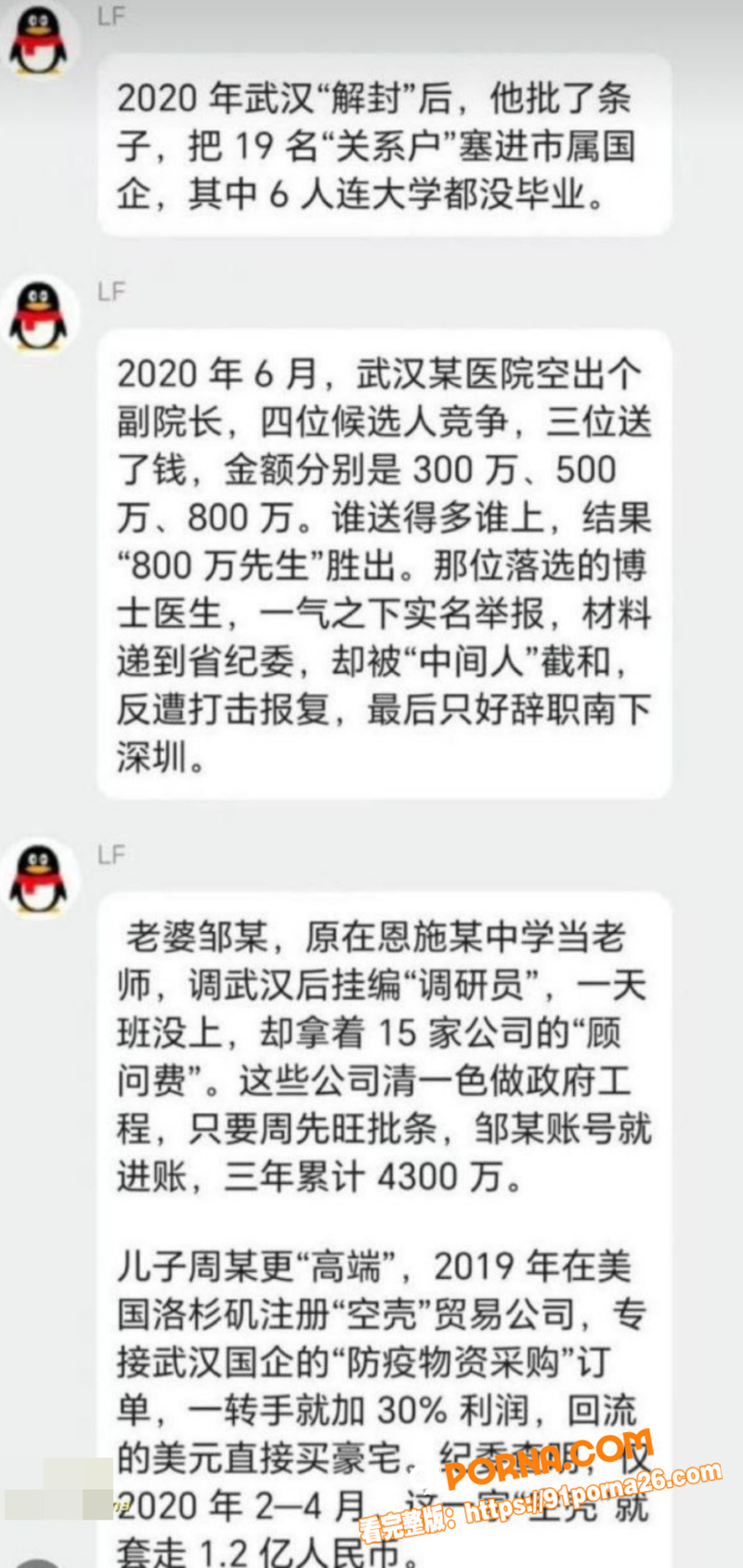武汉前市长 周先旺 巨额...（6）