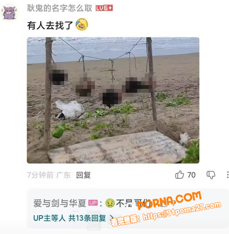 B站反美战士 牢A 再爆...（4）