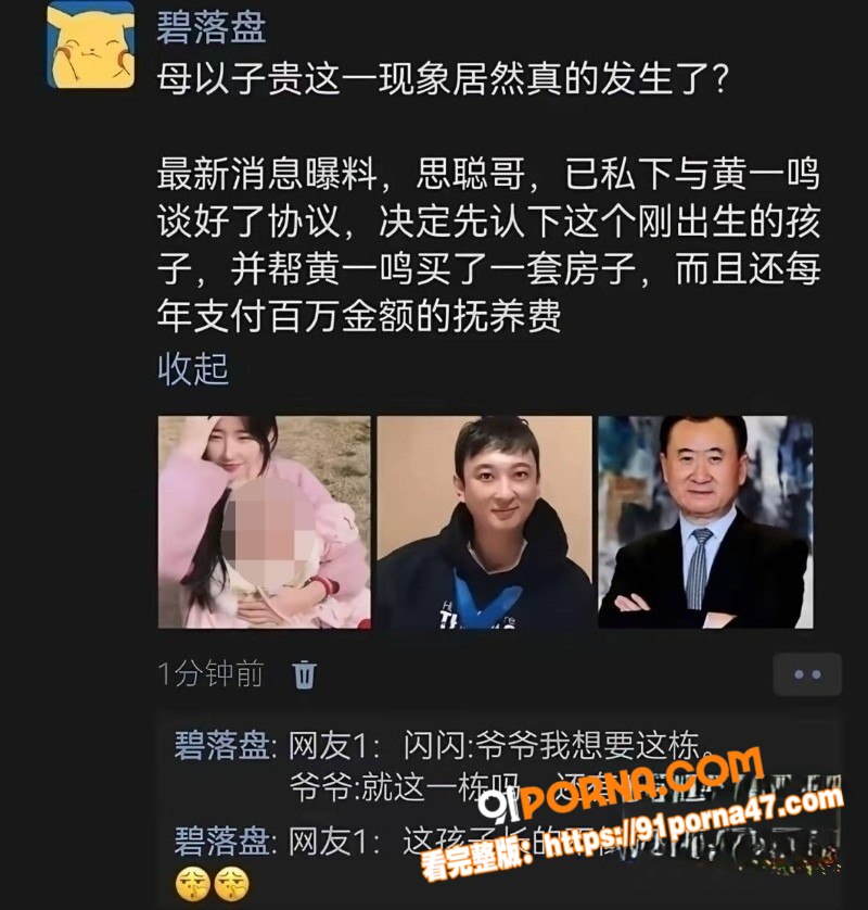 国民老公王思聪前女友 黄...（15）