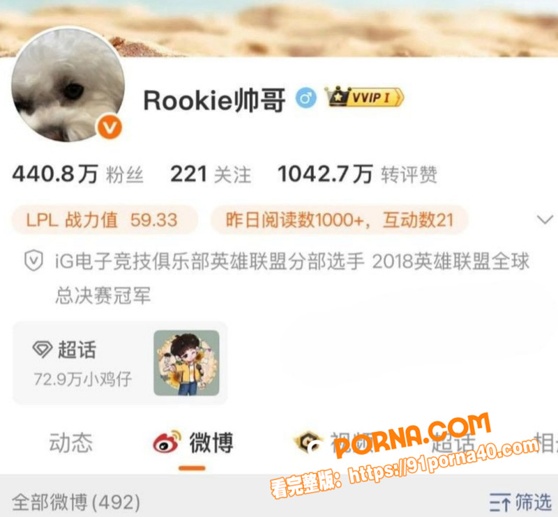 英雄联盟冠军中单 Roo...（27）