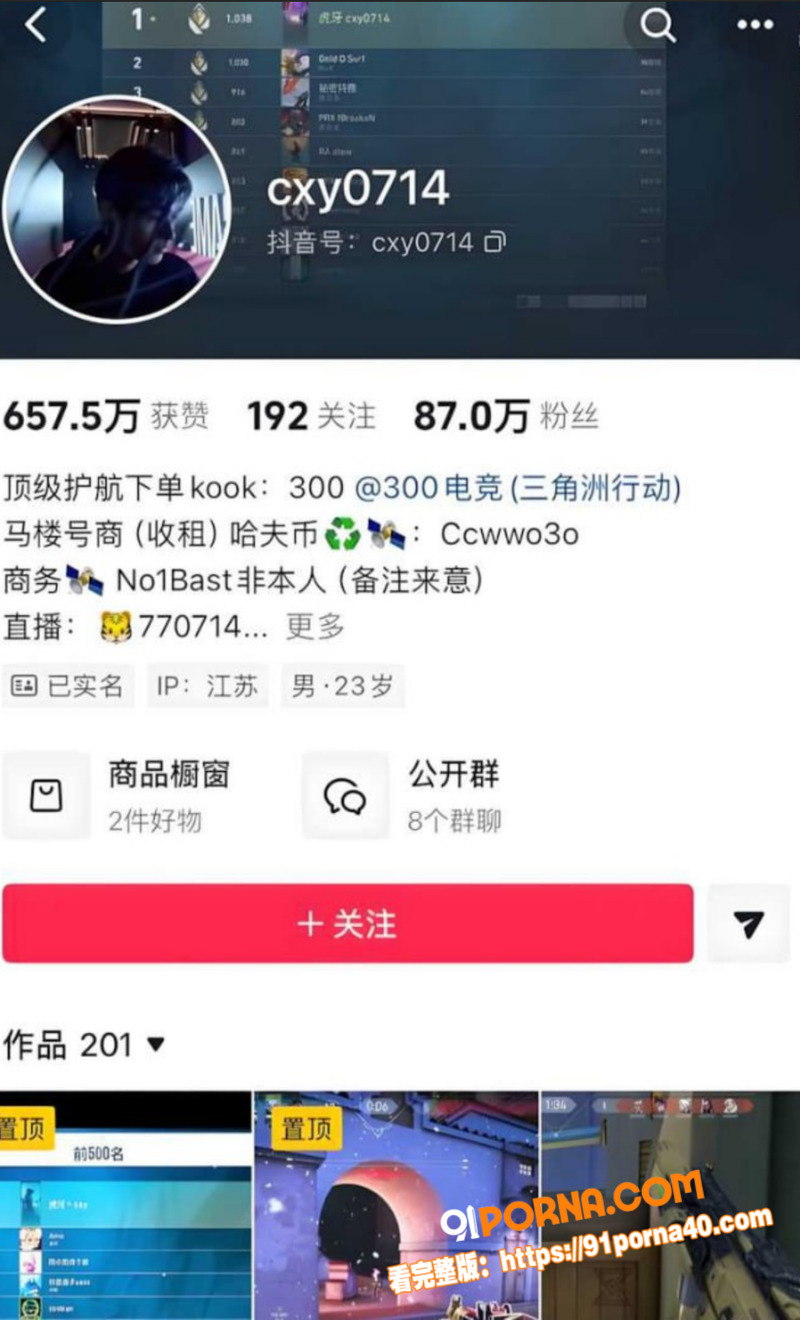无畏契约前职业选手 cx...（4）