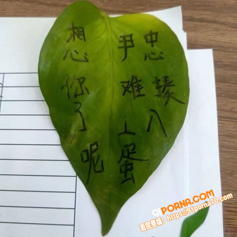 妻子乳腺癌去世丈夫整理手...（5）