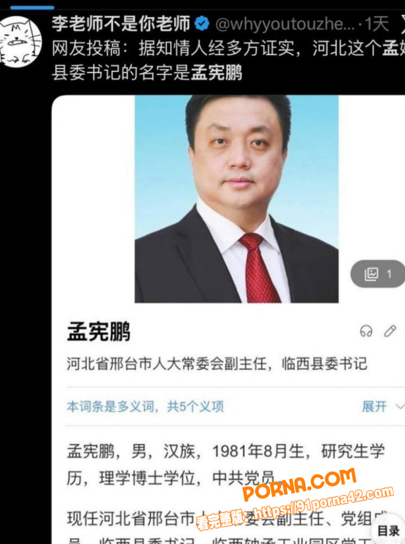 河北临西县委书记 孟宪鹏...（7）