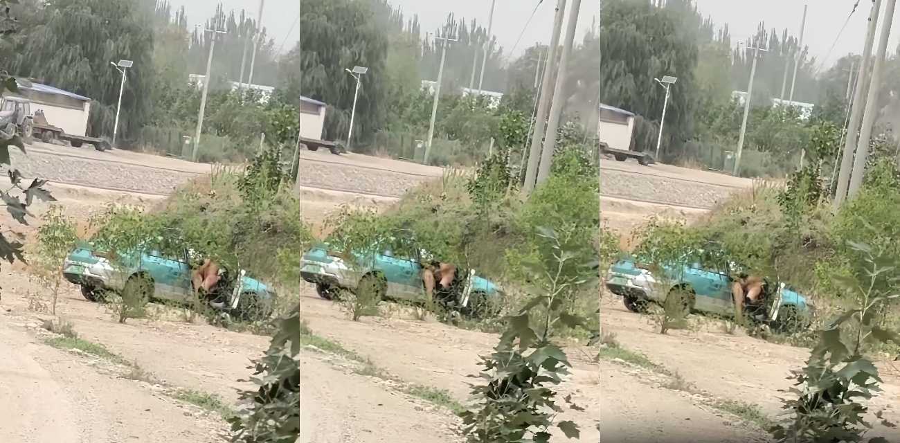 刺激野战瓜！ 乘客付不起打车费 直接用身体抵债 全程被路人手机偷拍！